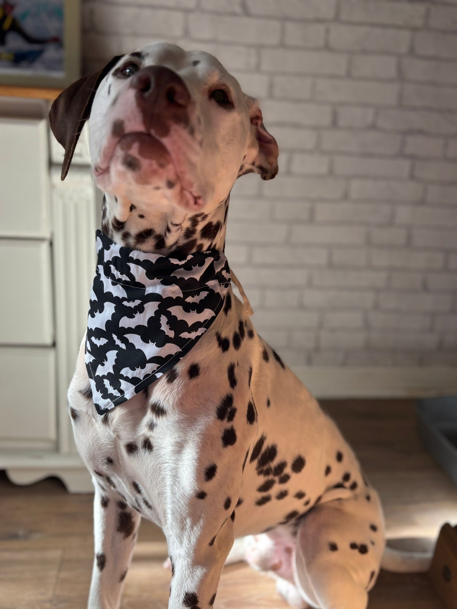 Bat Bandana