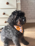 Bat & Skull Bandana
