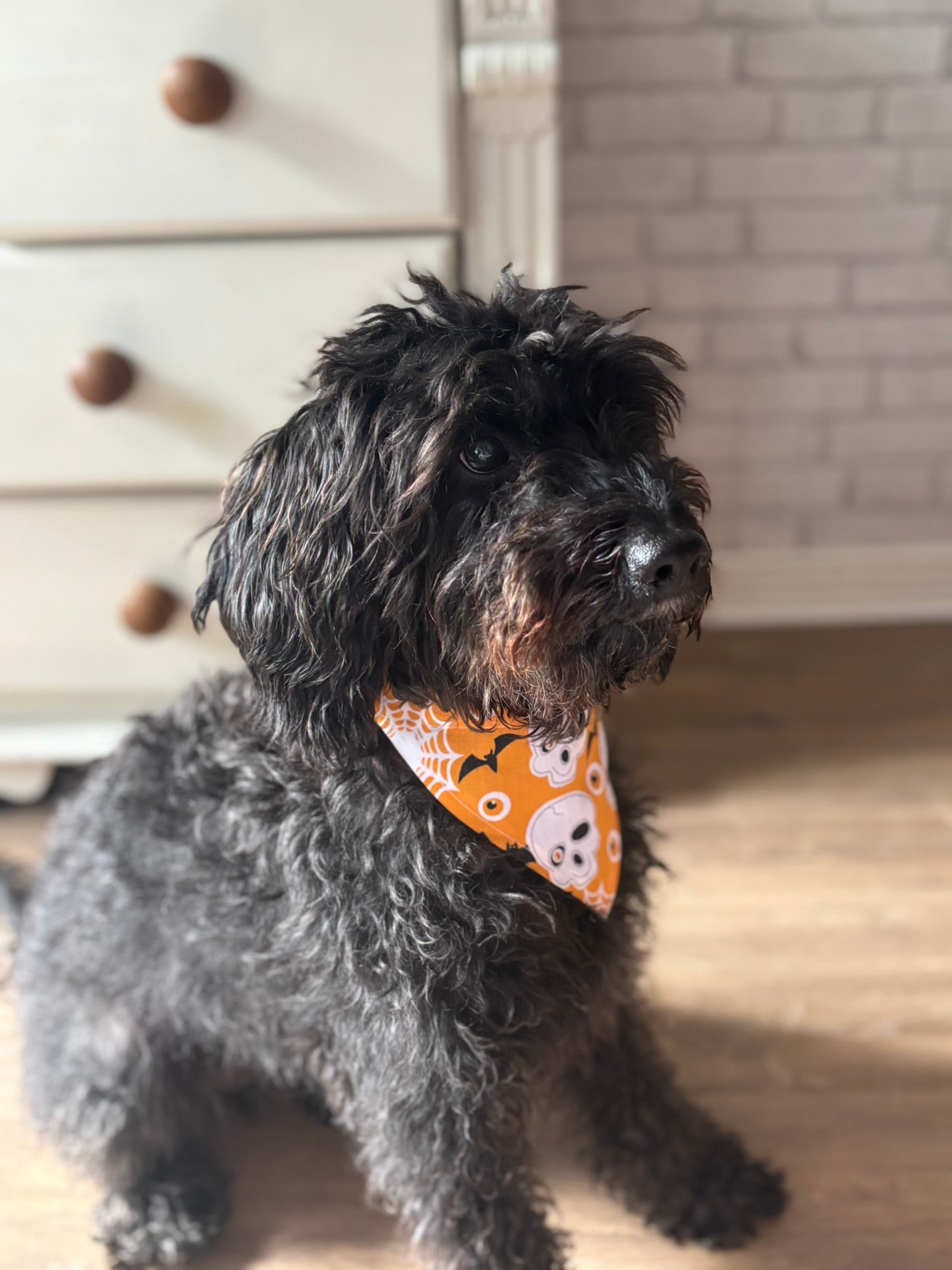 Bat & Skull Bandana