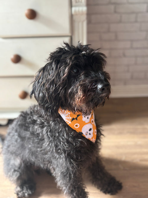 Bat & Skull Bandana