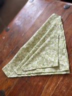 Pet Bandana